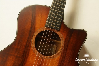 TGS2014 GSce-Koa